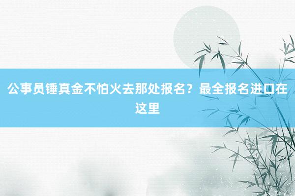 公事员锤真金不怕火去那处报名？最全报名进口在这里
